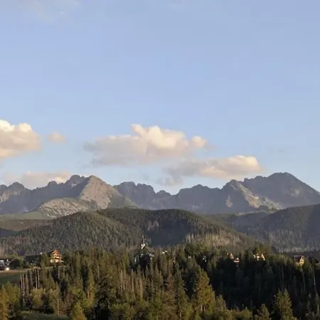 Lägenhet Hrube Parter Z Tarasem I Kominkiem Zakopane