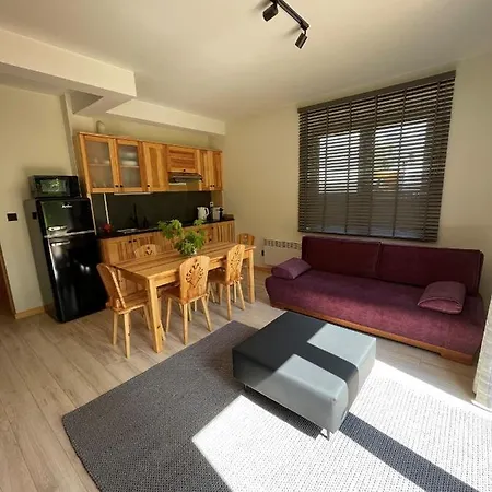 Hrube Parter Z Tarasem I Kominkiem Appartement Zakopane