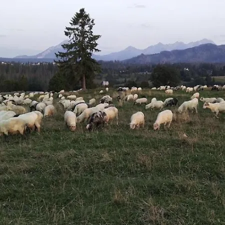 Hrube Parter Z Tarasem I Kominkiem Zakopane