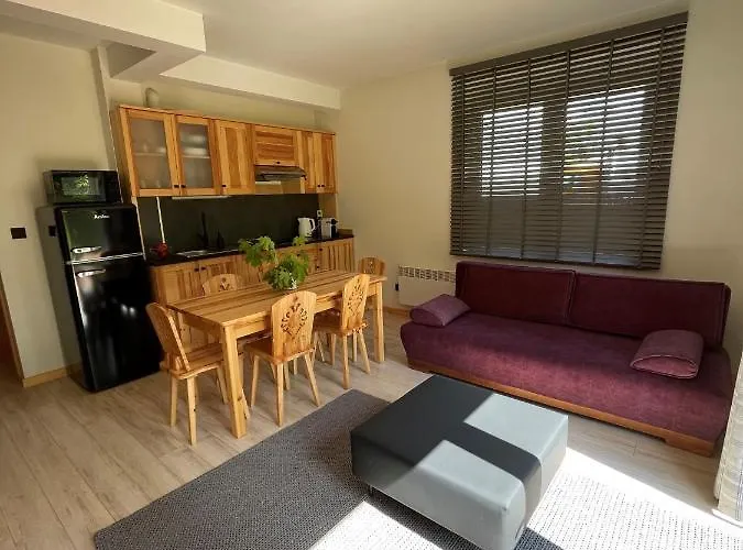 Hrube Parter Z Tarasem I Kominkiem Lejlighed Zakopane